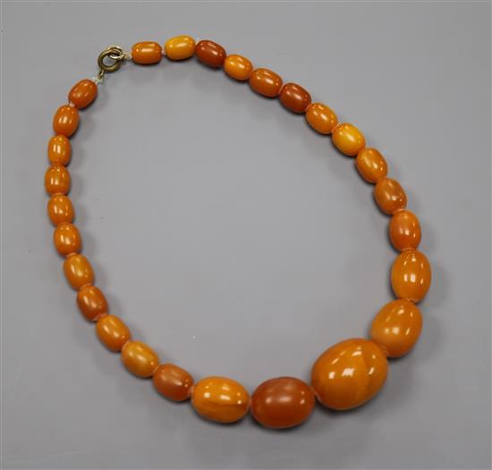 A single strand graduated amber bead necklace, gross weight 30 grams, approx. 36cm.